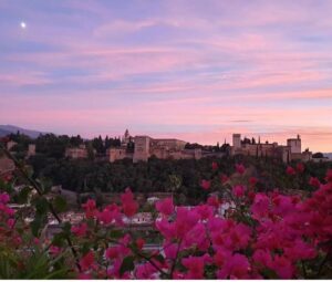 Arabe Guide Alhambra